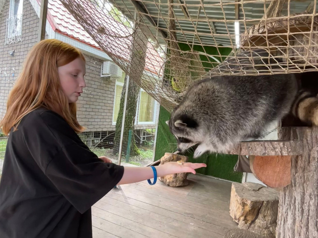 Family Park Volshebnaya Strana-Petrovo必去景点