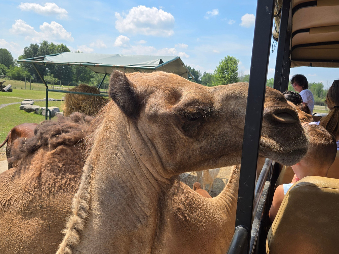 The Wild Animal Park-Chittenango必去景点