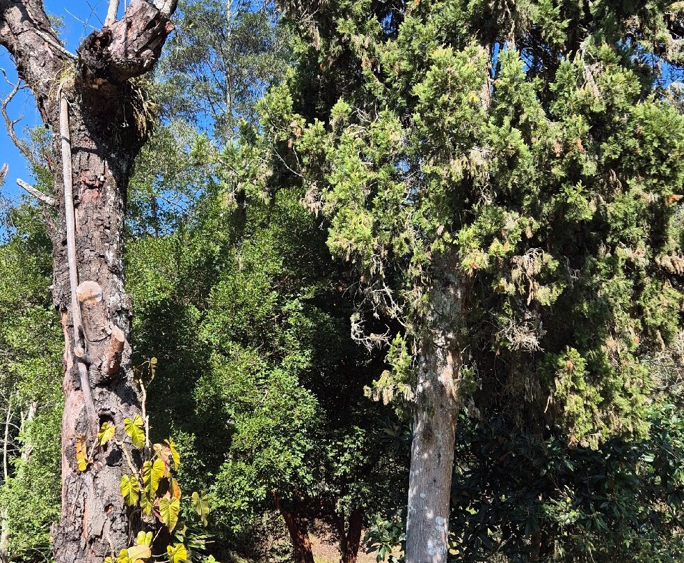 Vinícola Casa da Árvore-Sao Roque必去景点