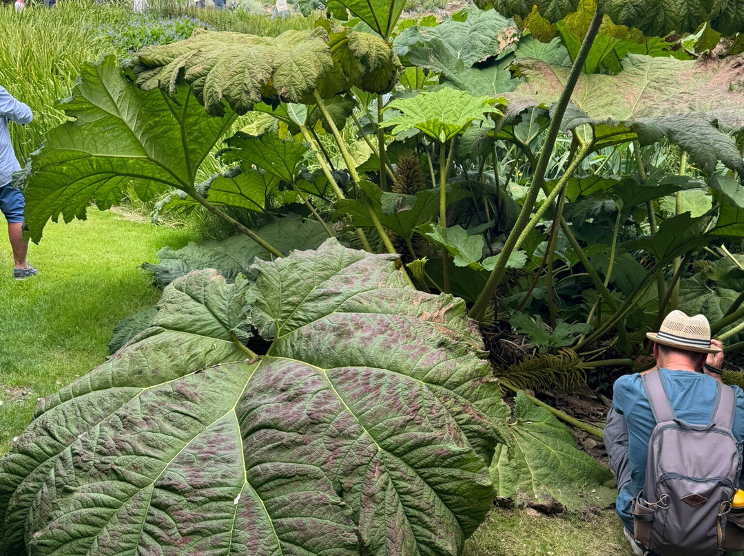 Le Jardin du Pellinec-Penvenan必去景点