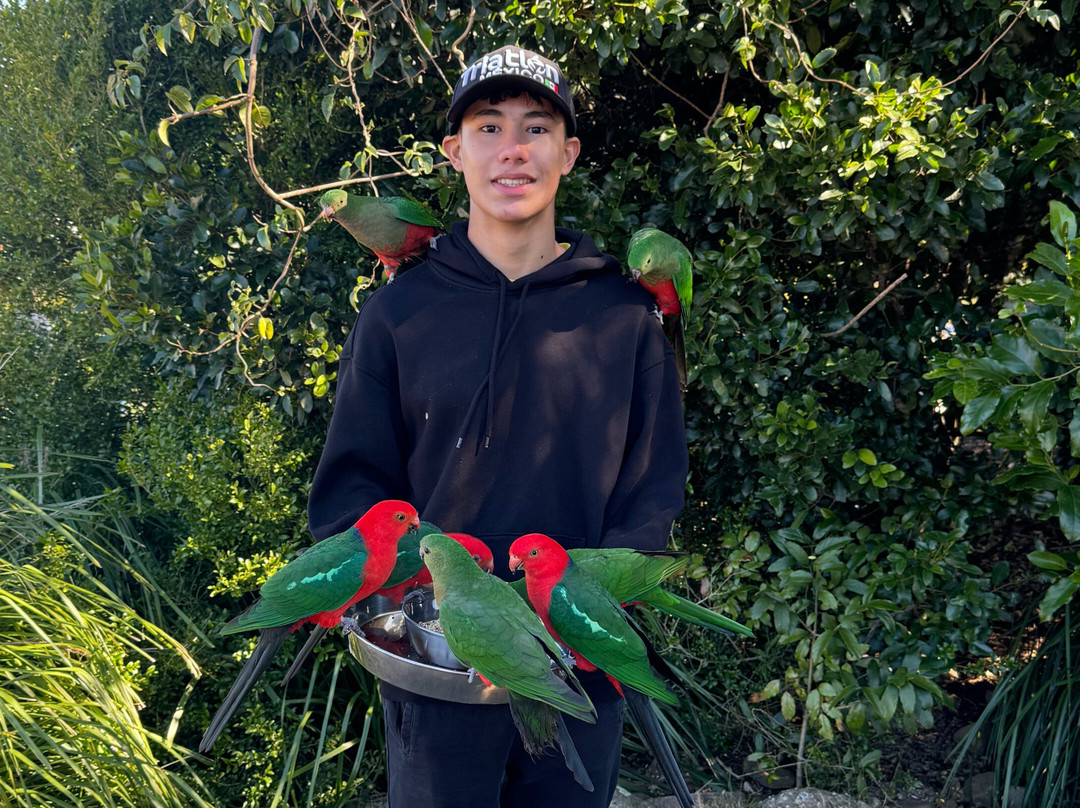 Paradise Tours-黄金海岸必去景点