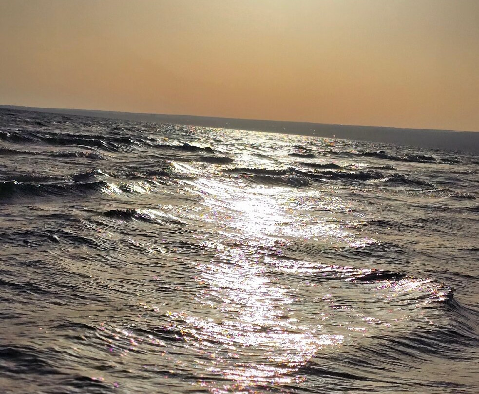 Toluammare