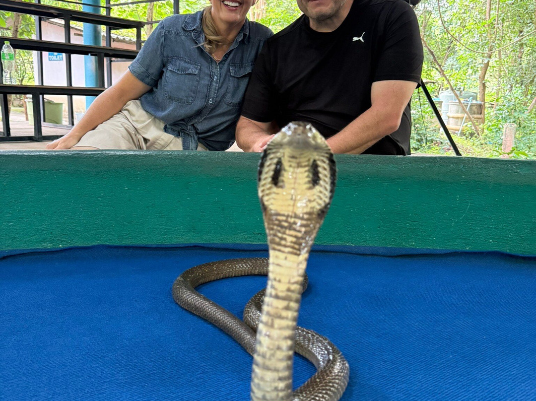 Tom Chiangmai Driver-清迈必去景点