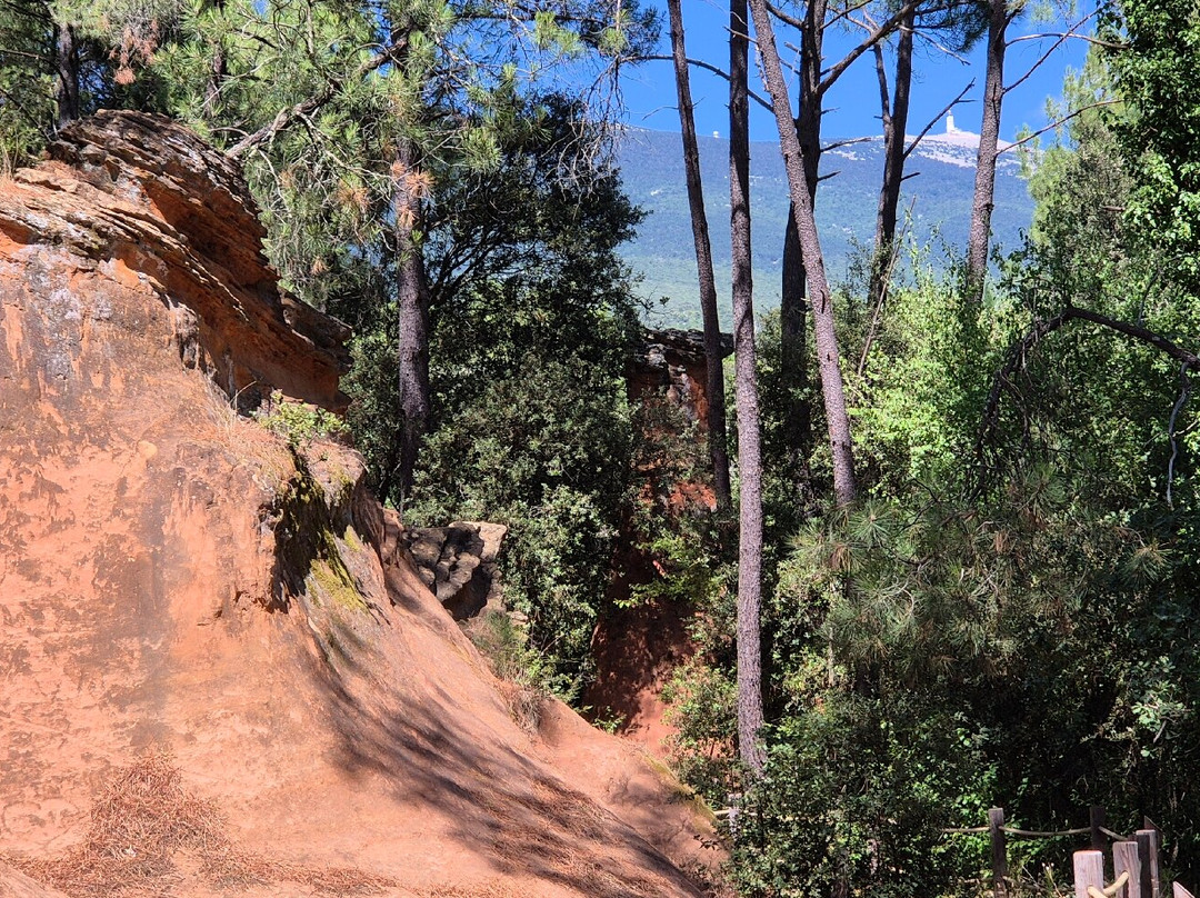 VMV Vignerons du Mont Ventoux-Bedoin必去景点