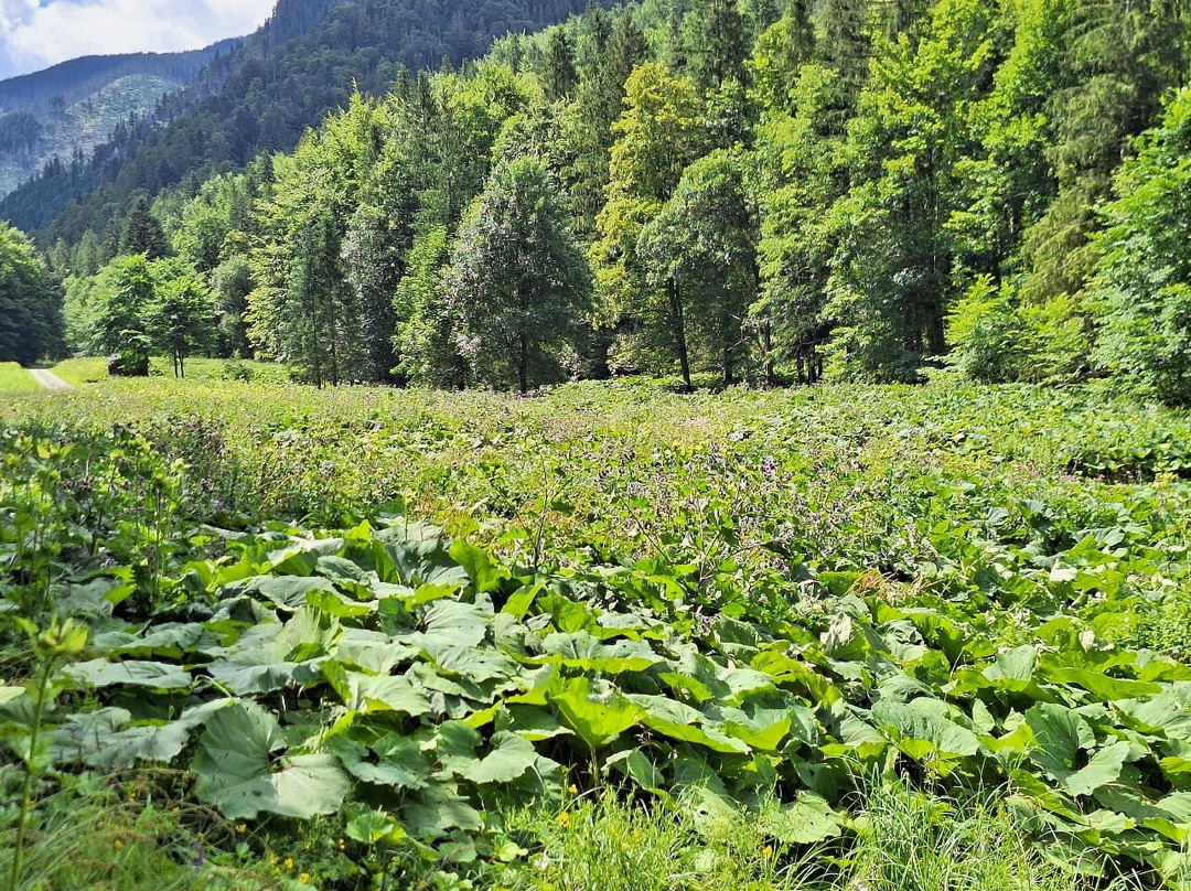 Juráňová dolina-Vitanova必去景点