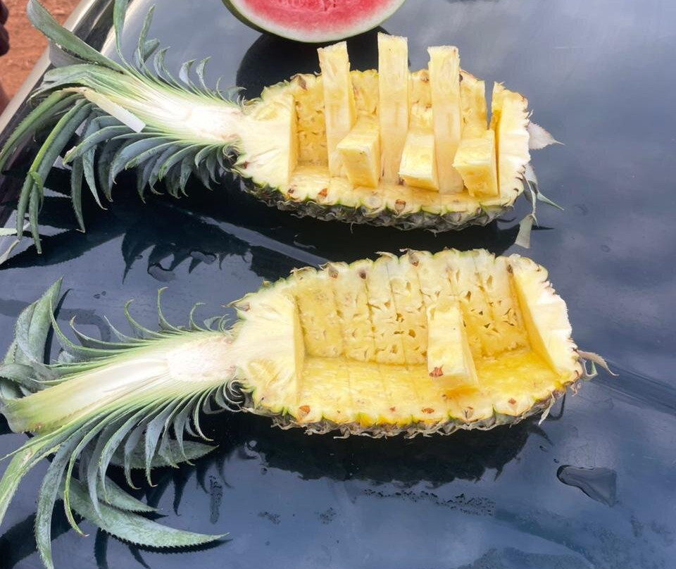 Rokmi Tours Sri Lanka-康提必去景点