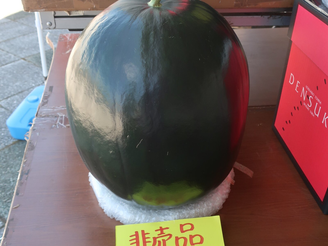 Michi-no-Eki Toma-当麻町 必去景点