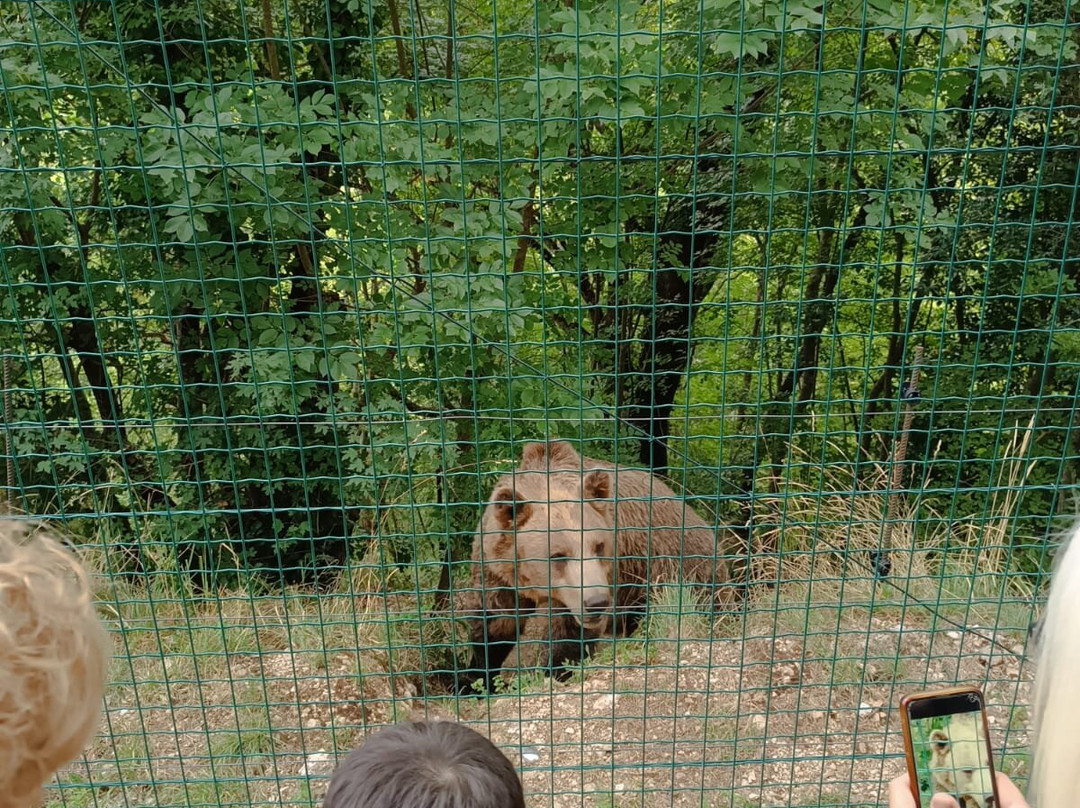Area Faunistica Orso Bruno Marsicano-Campoli Appennino必去景点