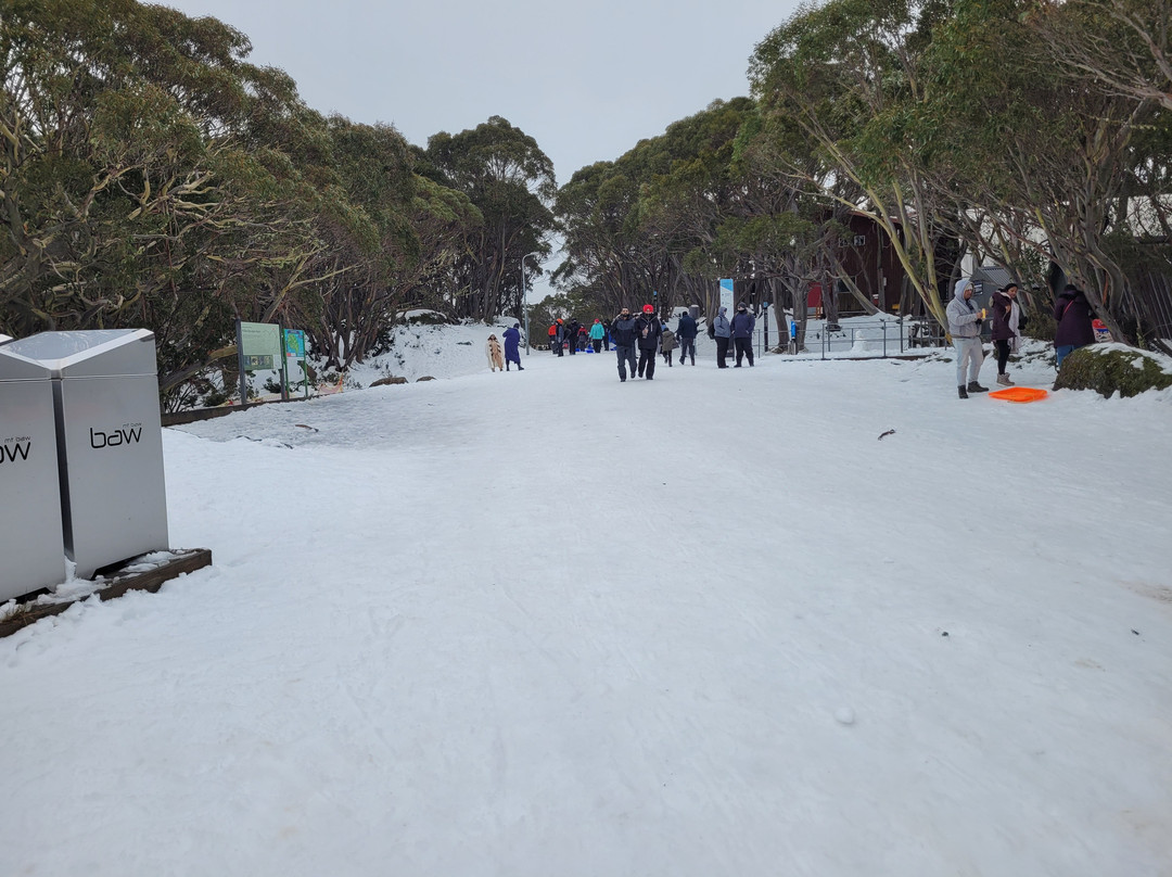 Mount Baw Baw Alpine Resort-Mount Baw Baw必去景点