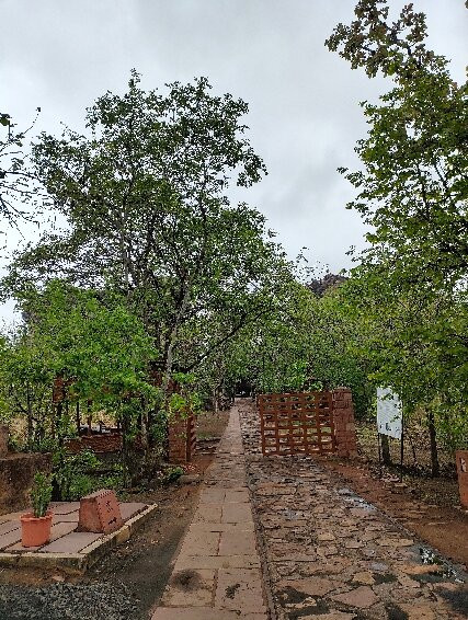 Bhimbetka Caves-Raisen必去景点