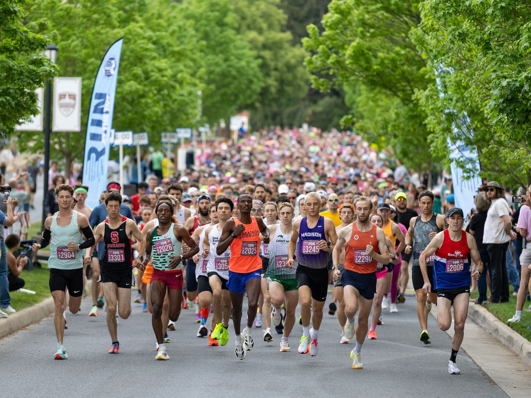 Shenandoah Apple Blossom Festival-温切斯特必去景点