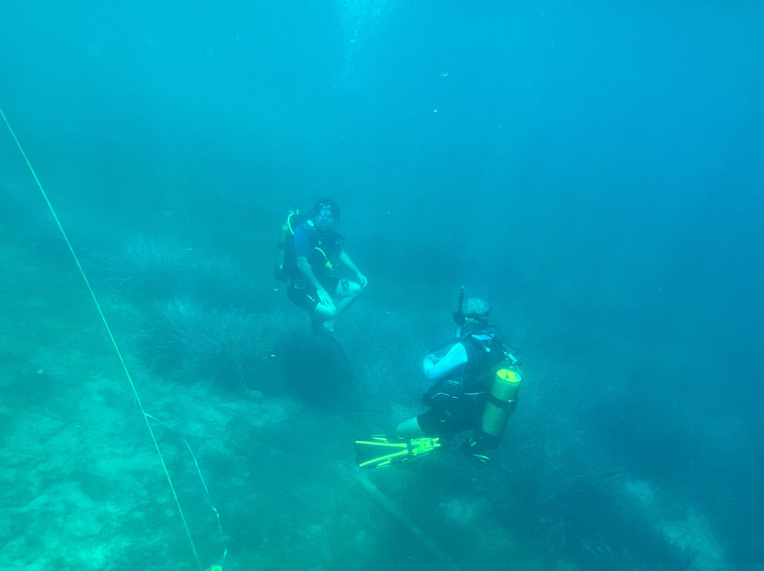 Dolphin Diving Center-Kanapitsa必去景点