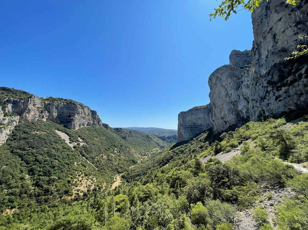 Domaine De Mélisande主图