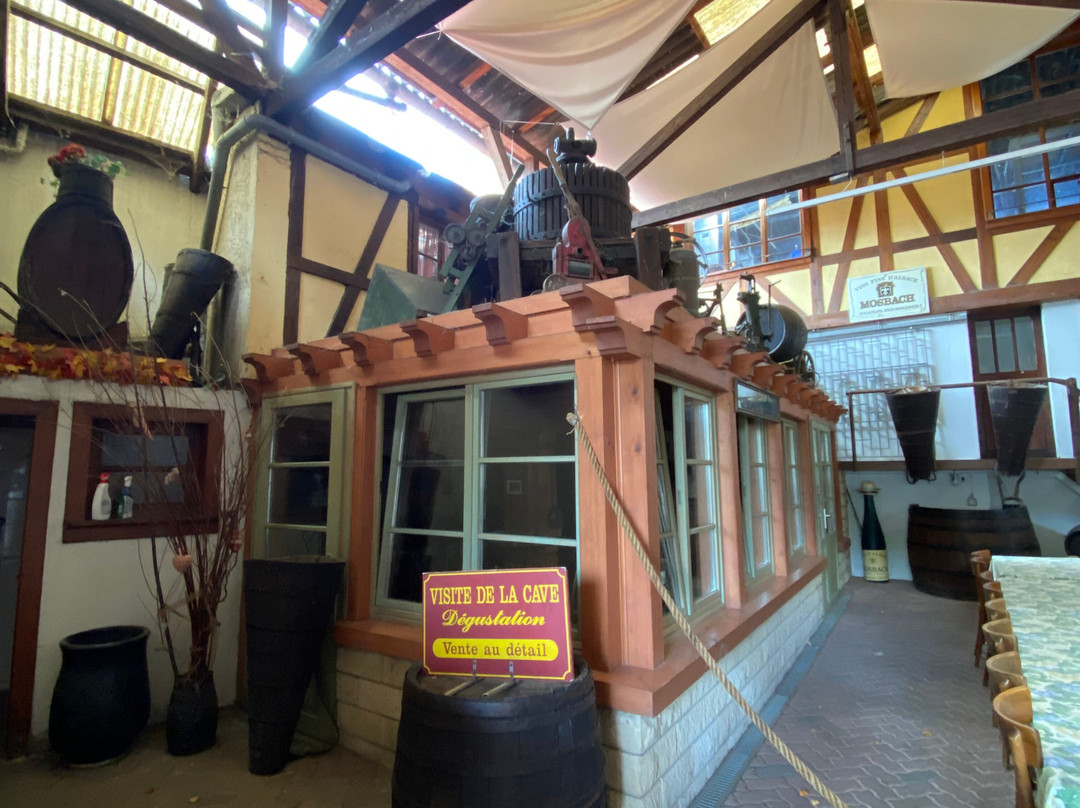 Vins d'Alsace Mosbach-马兰海姆必去景点