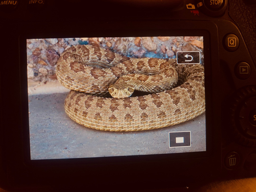 Legend Rock Petroglyph Site-瑟莫波利斯必去景点