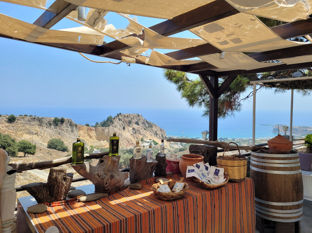 Olive & Oregano-Stegna必去景点