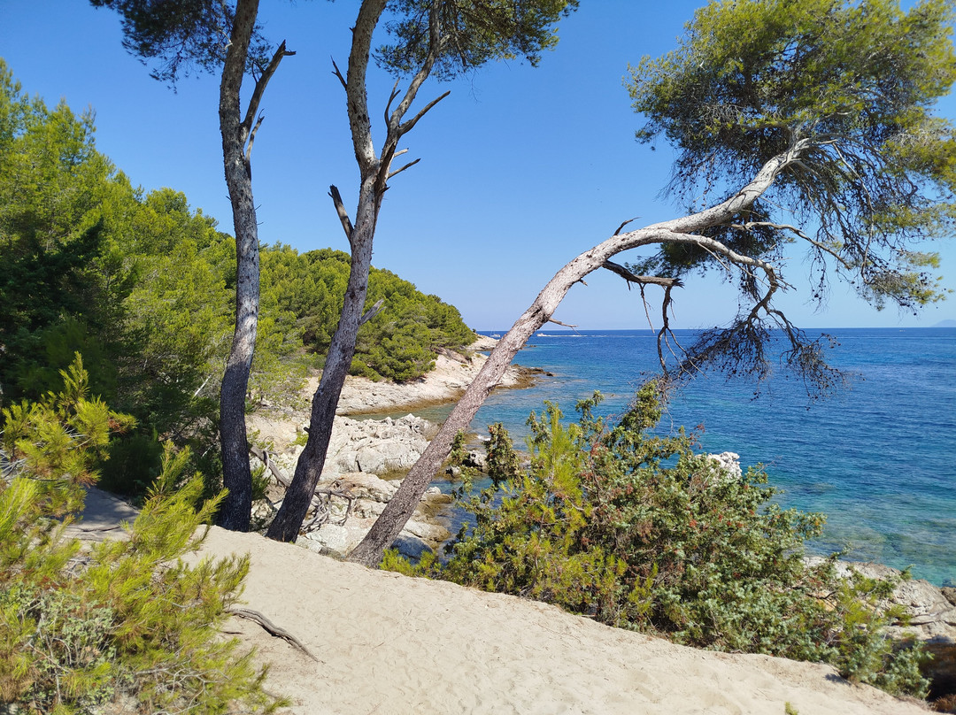 4x4 Agriates-Casta必去景点