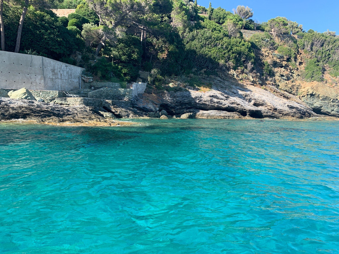 Calypso Marine-Brando City必去景点