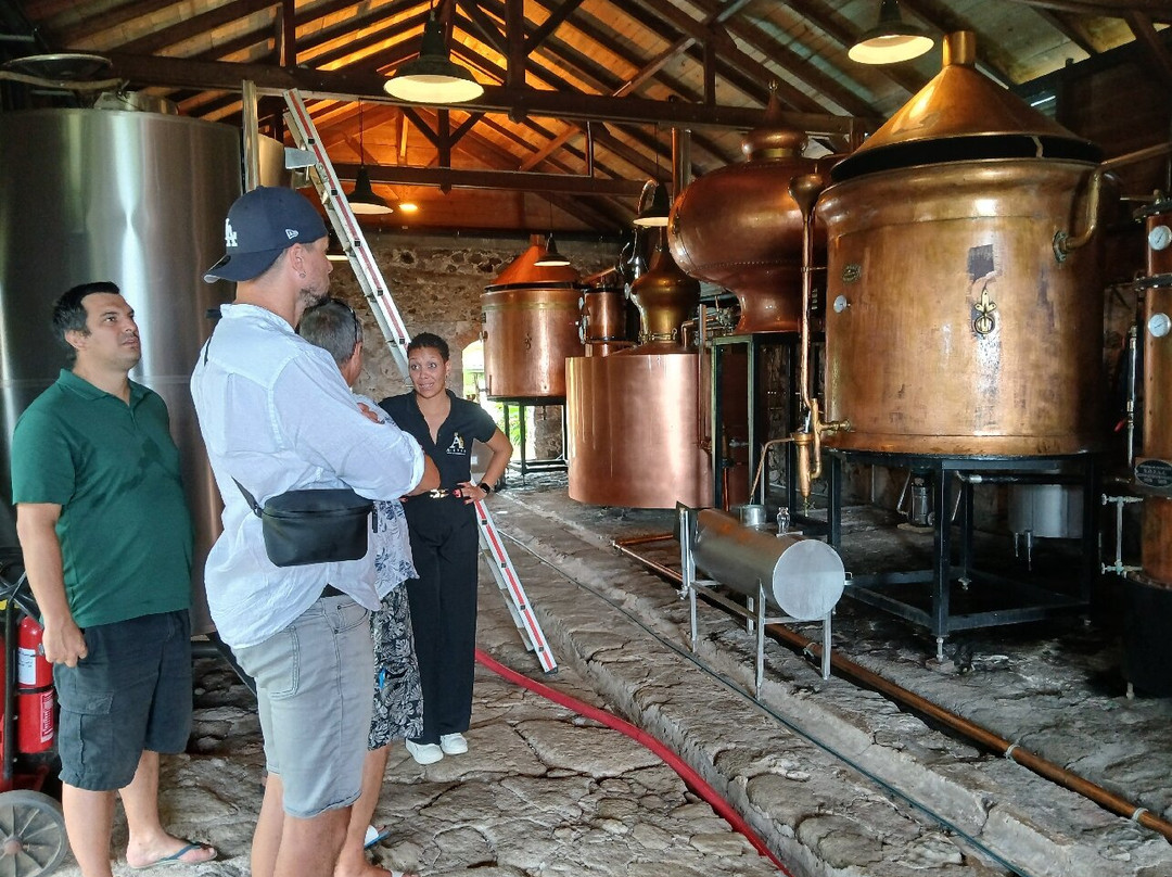 Distillerie Rhum A1710-Le Francois必去景点