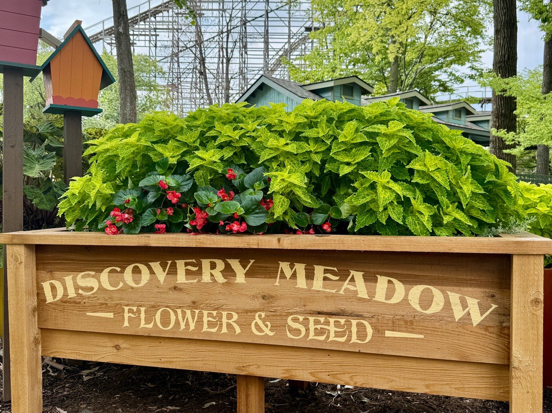 Kentucky Kingdom-路易斯维尔必去景点