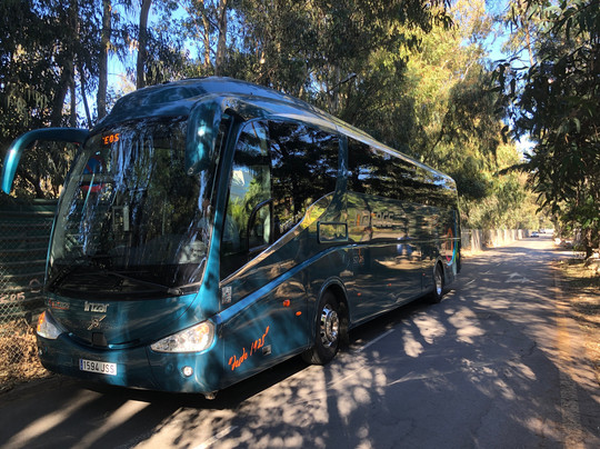 Sunshine Tours-马拉加必去景点