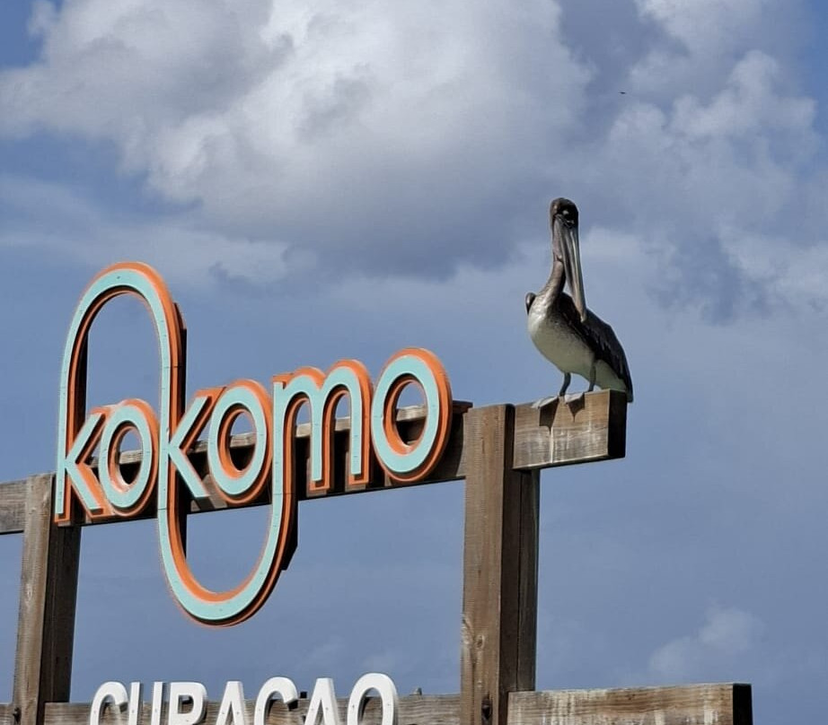 Kokomo Beach-威廉斯塔德必去景点