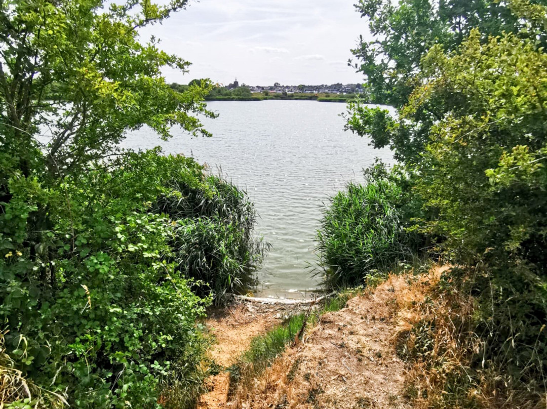 Heybridge Basin-Maldon必去景点