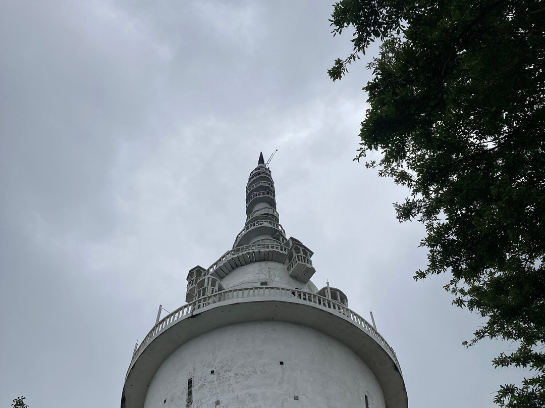 Lankan Rv Tours-康提必去景点