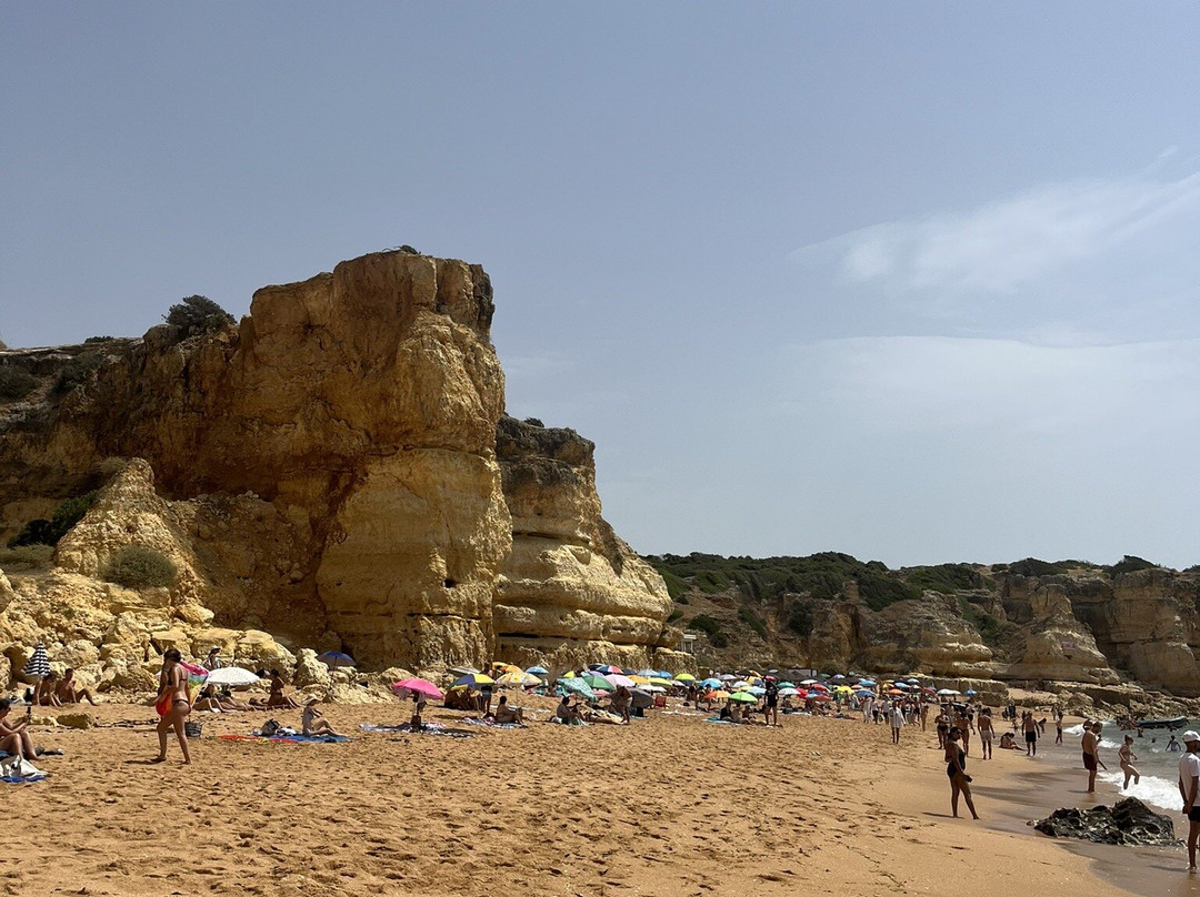 Praia da coelhinha-阿尔布赞拉必去景点