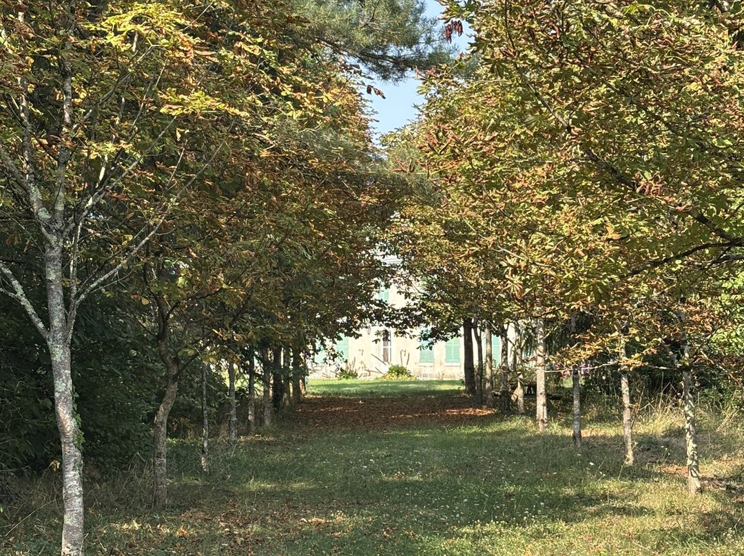 城堡连锁大街酒店主图