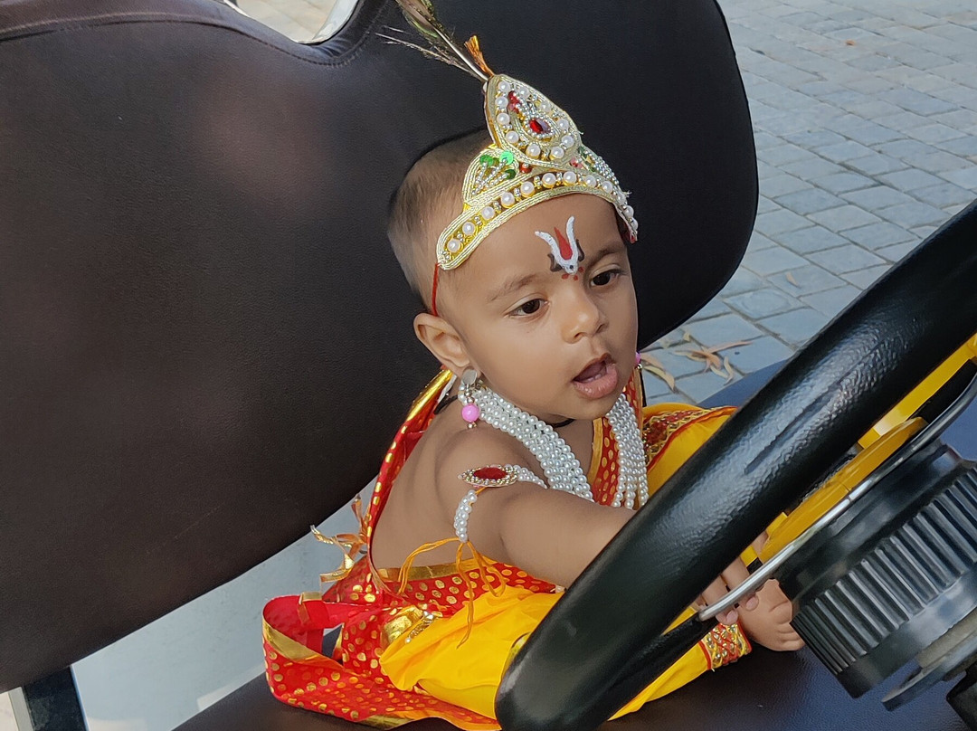 Pride Amber Vilas Resort主图