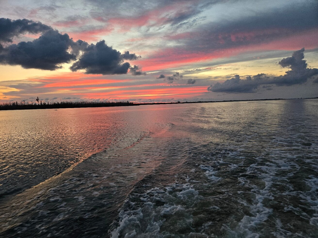 Gasparilla Boat Tours-恩格尔伍德必去景点