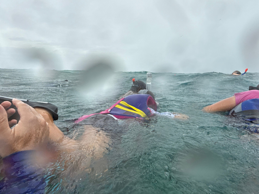 Dive & Sail Ellaidhoo-埃拉胡岛必去景点