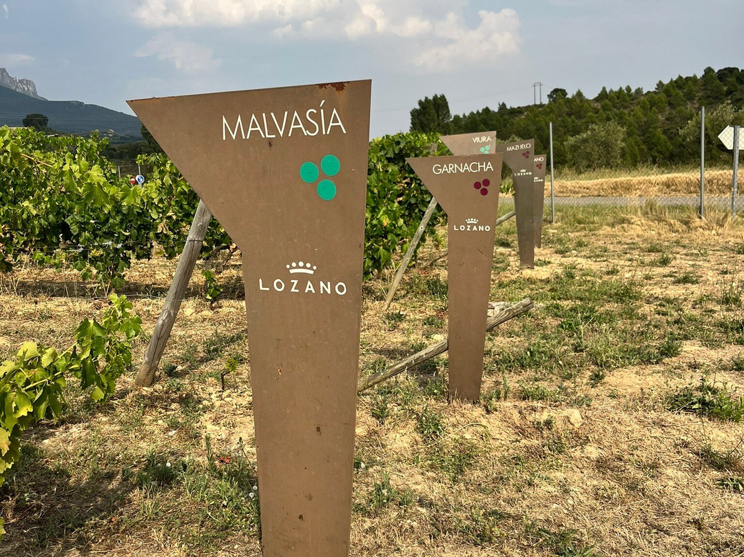 Bodegas Lozano-Leza必去景点