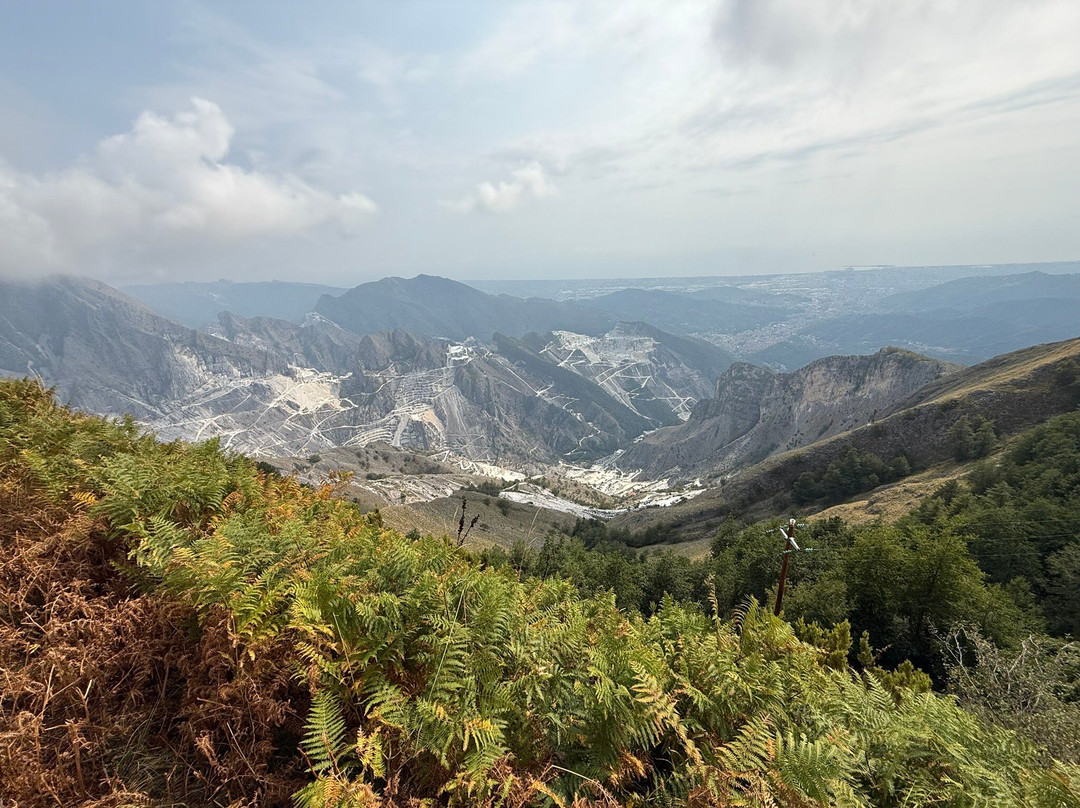 Campocecina Carrara Ms-卡拉拉必去景点