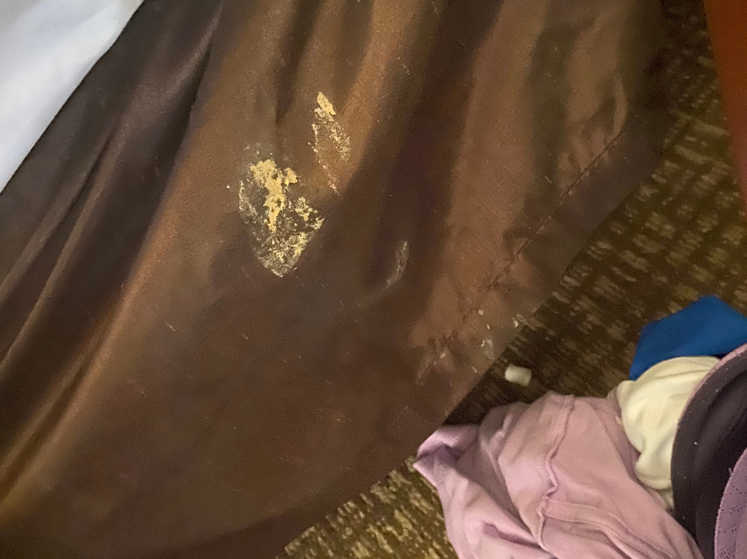 Comfort Inn Festus主图