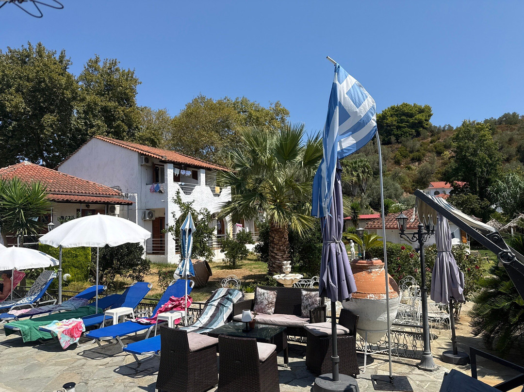 Studio Jimmy's主图