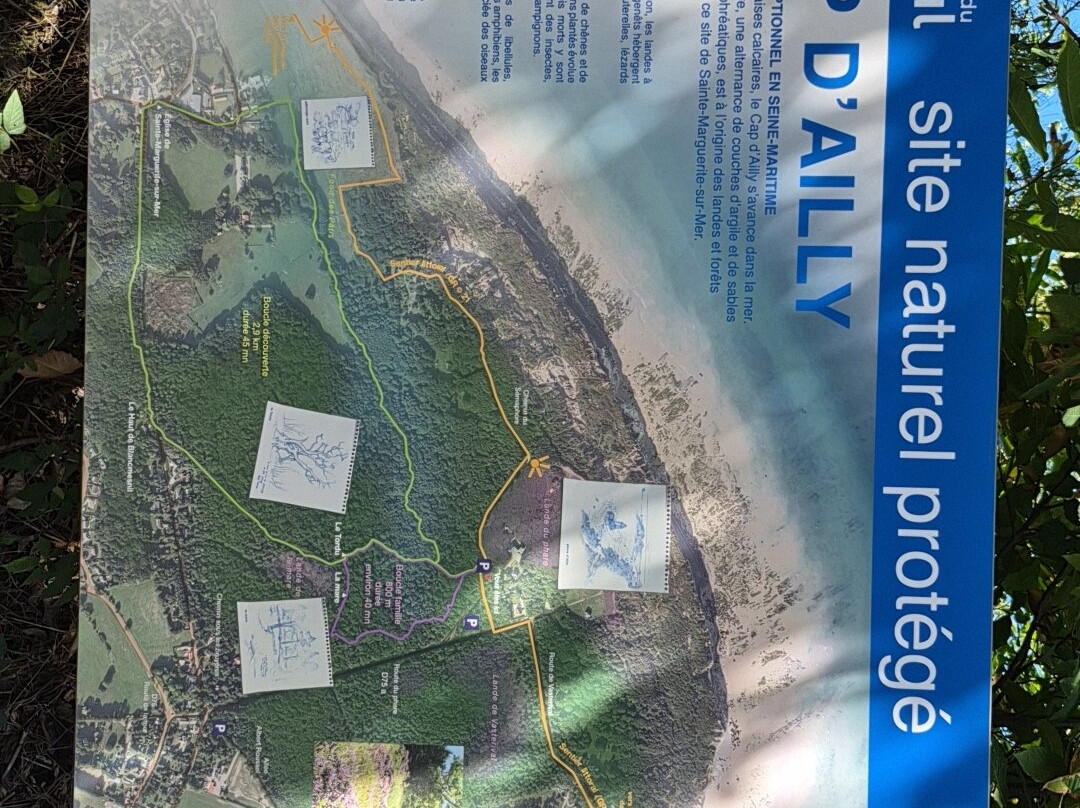 Phare d'Ailly-Sainte-Marguerite-sur-Mer必去景点