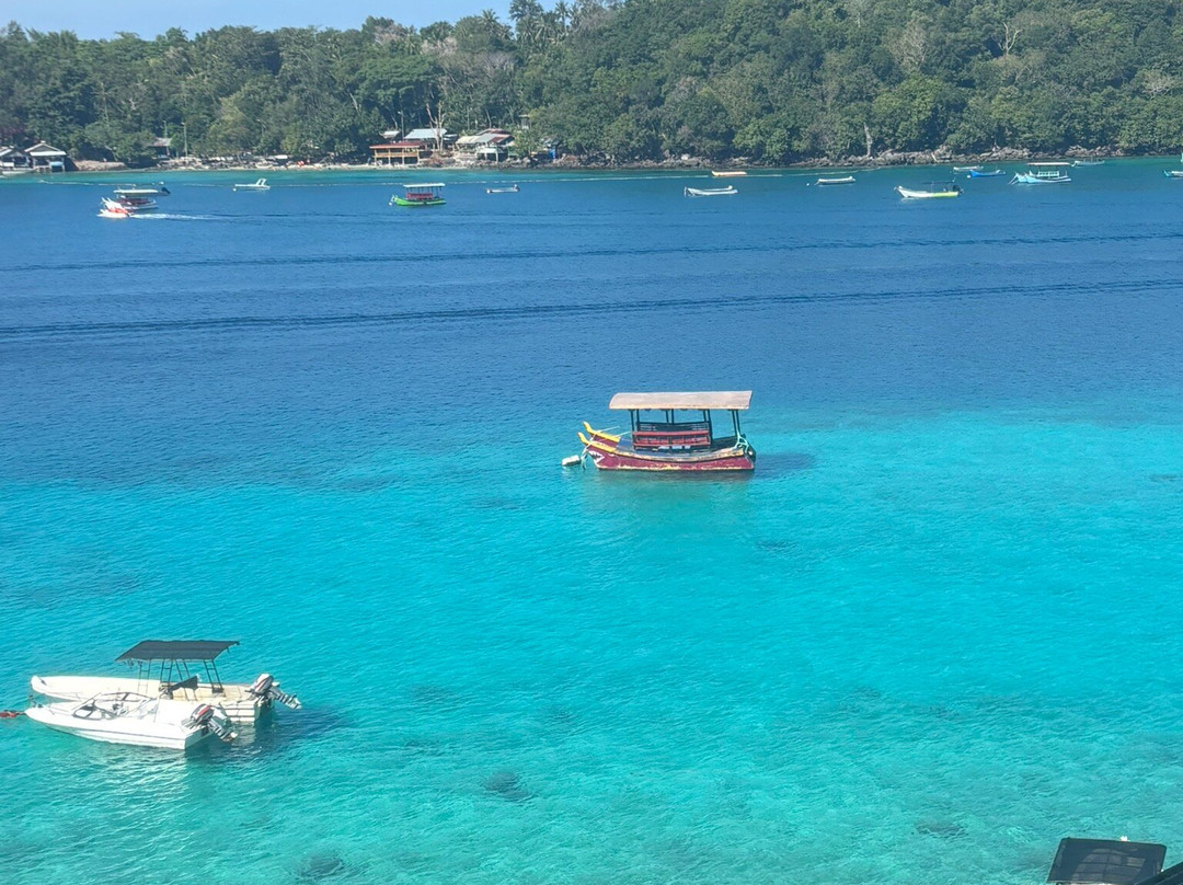 Eric's Greenhouse主图