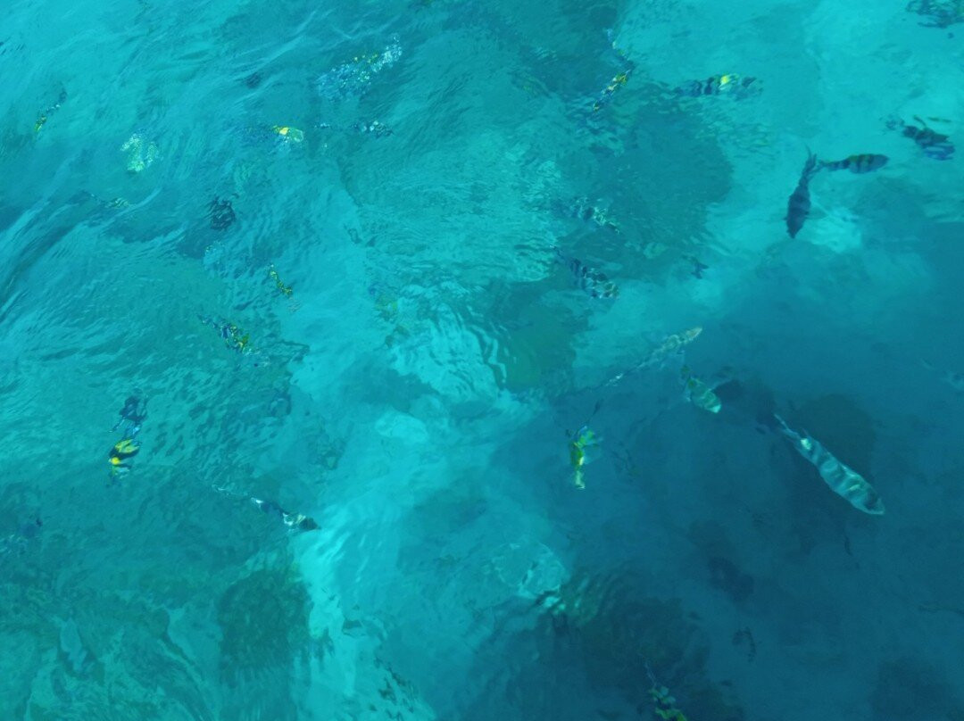 Nungwi Aquarium Adventures-孥归必去景点