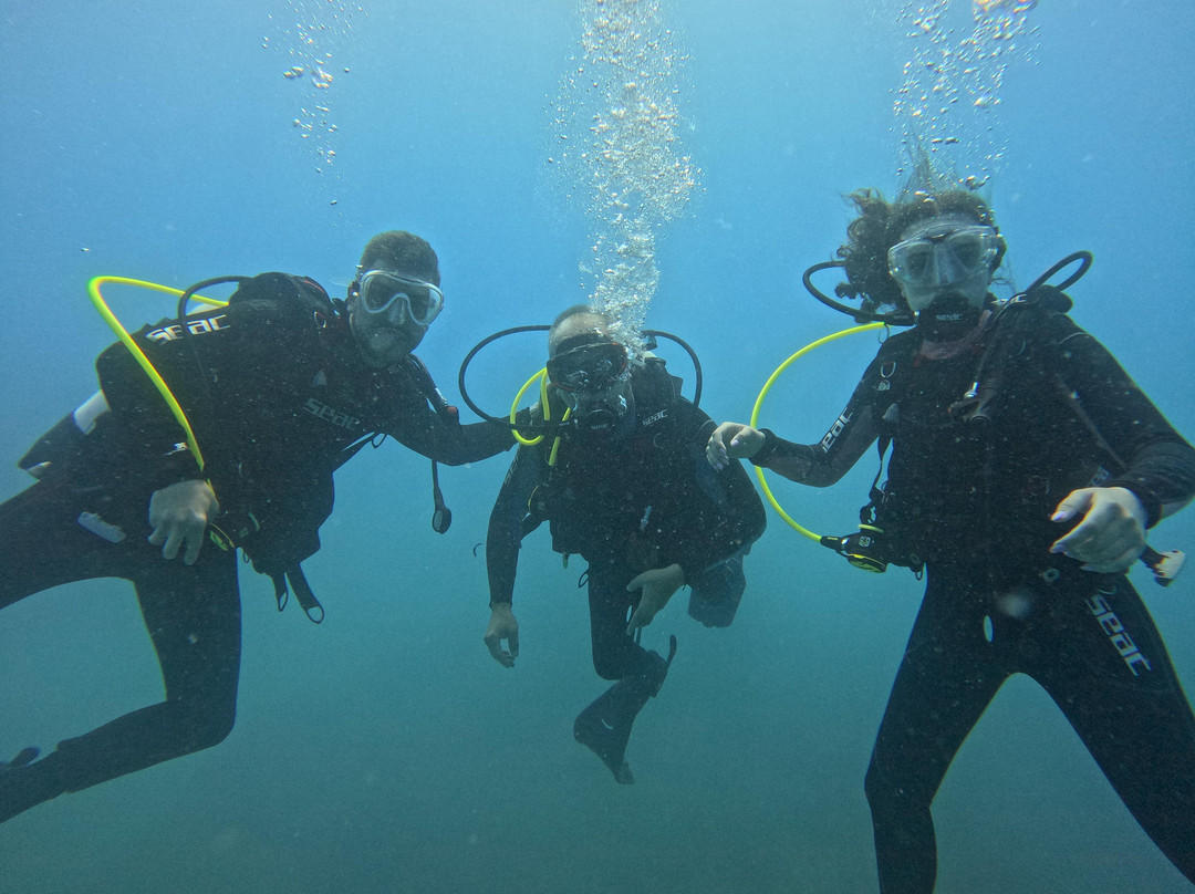 Blue Thunder Diving-利马索尔必去景点