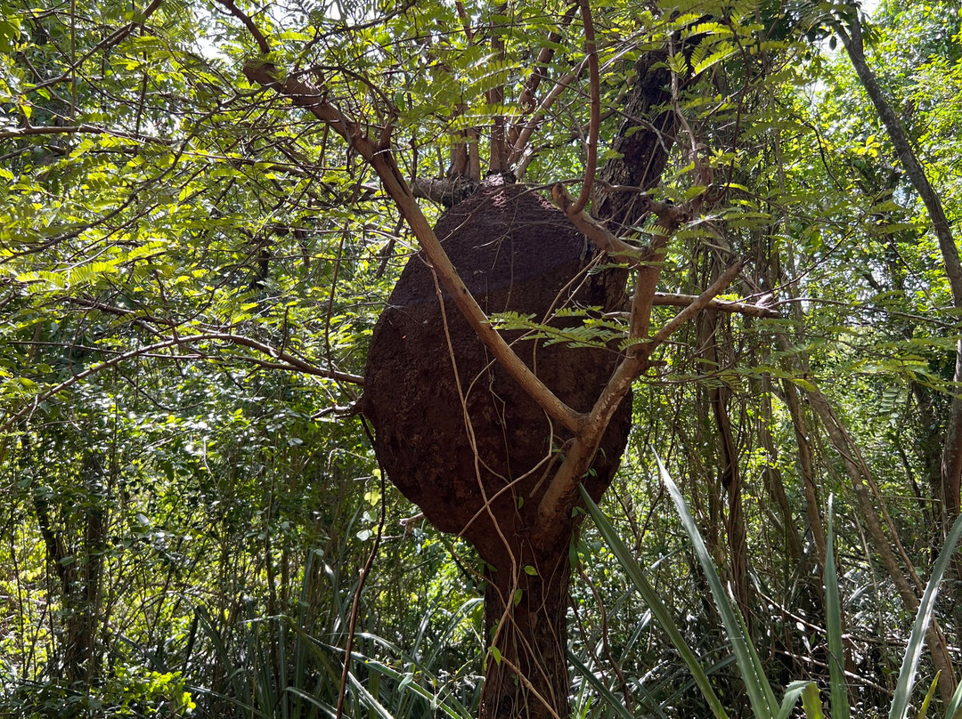 Playa Colorá-法哈多必去景点