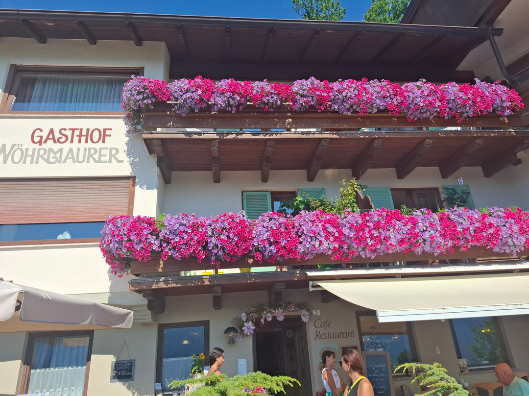 Restaurant Gasthof Wöhrmaurer主图