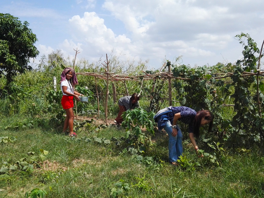 Meet The Province-金边必去景点