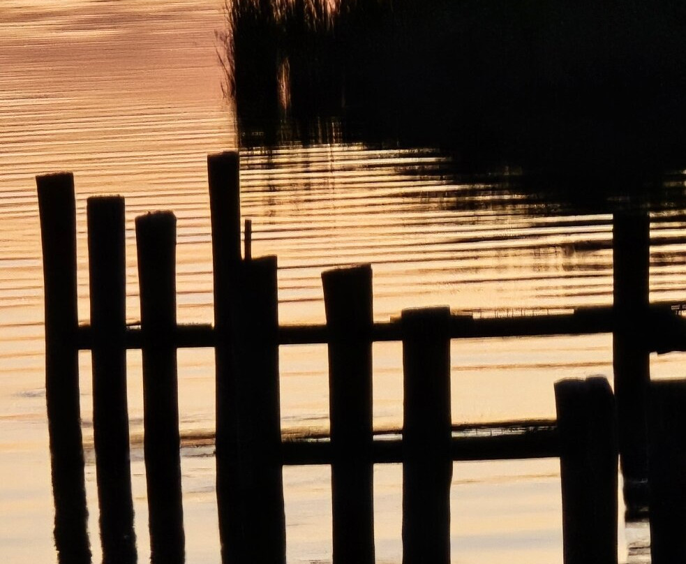 Wetipquin Park MD-Tyaskin必去景点