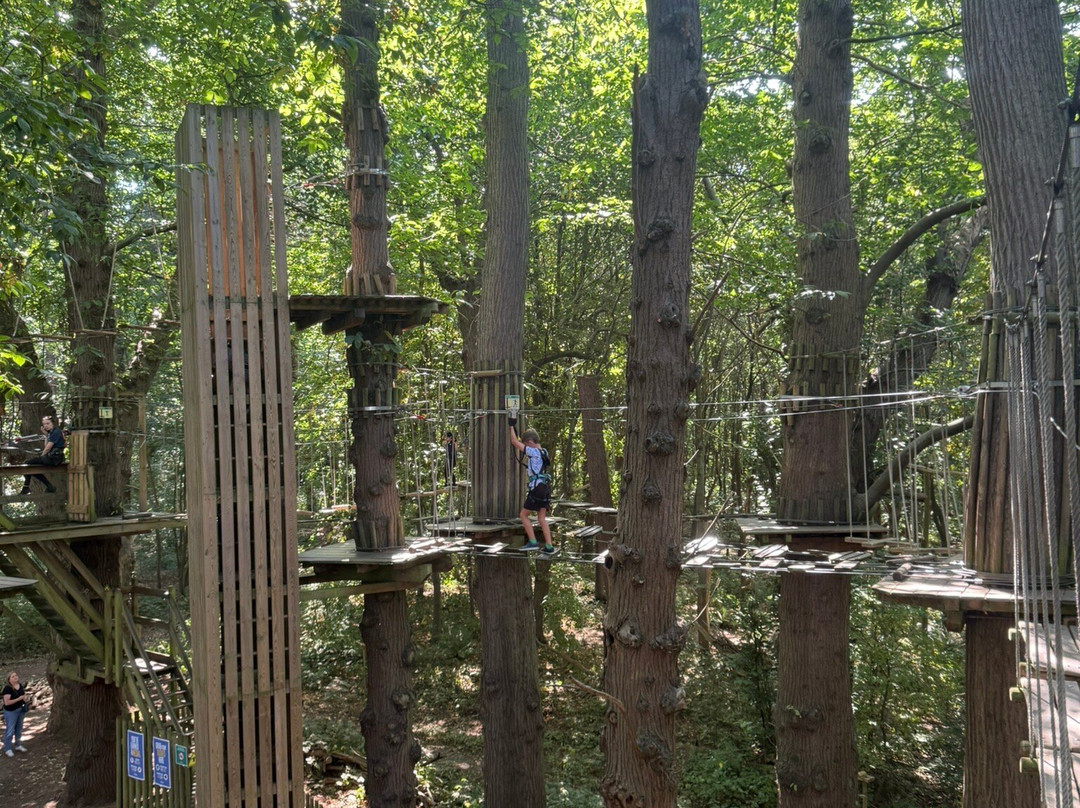 Go Ape Leeds Castle-Leeds必去景点