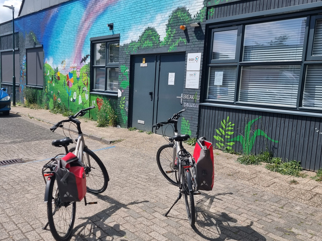 Holland Bike Tours-哈勒姆必去景点