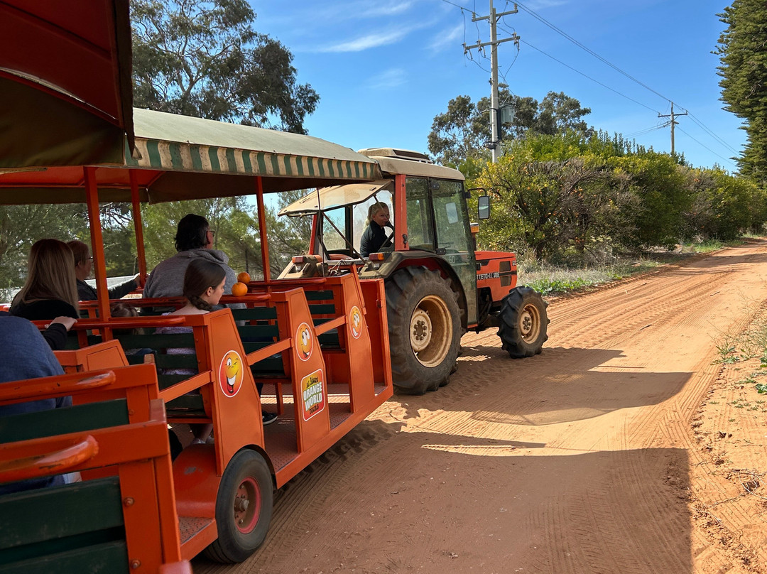 Orange World-Buronga必去景点