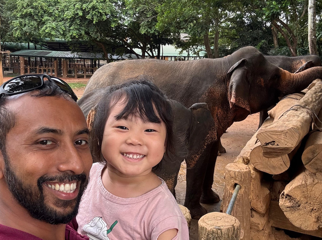 Sri Lankan Safe Tours-Kirindiwela必去景点