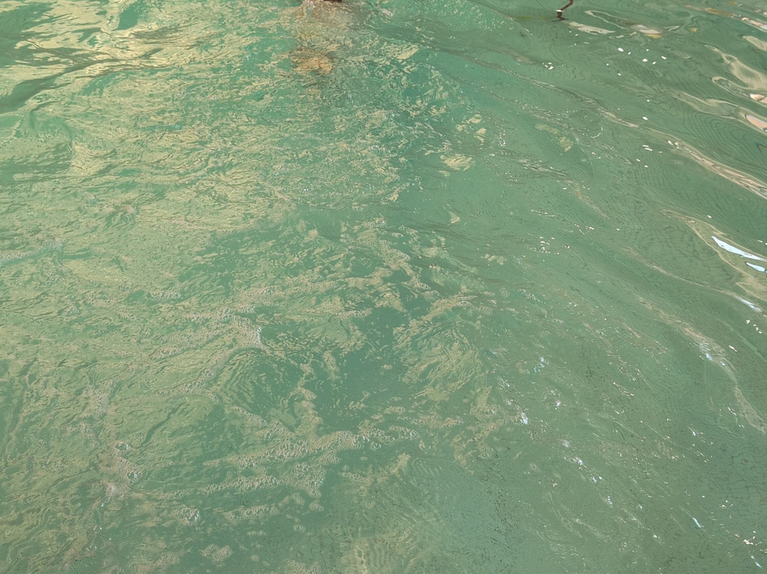 St. Margaret's Hotel主图